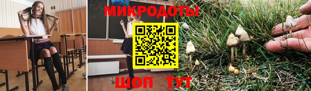 Галлюциногенные грибы Psilocybine cubensis Луга