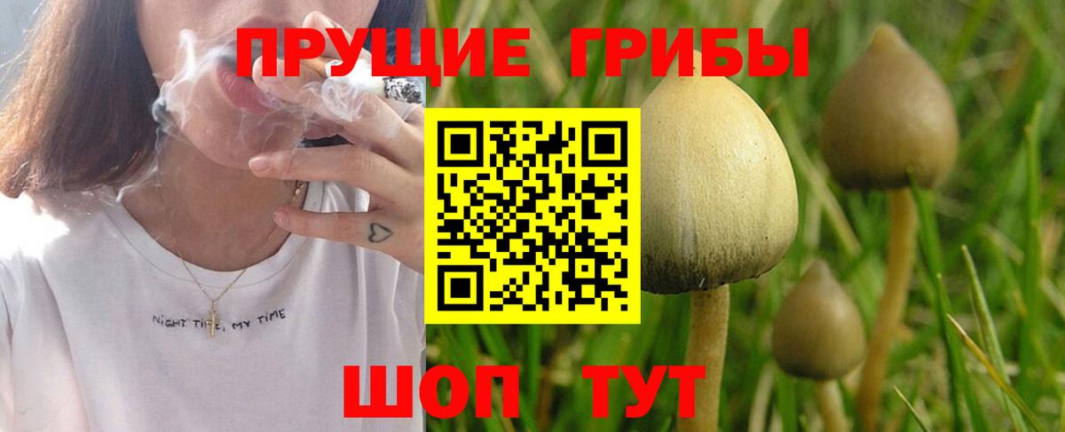 Галлюциногенные грибы мицелий  Вход с VPN  Луга 